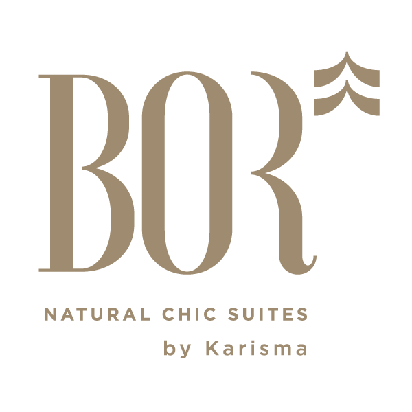 /posao/logo/bor logo_1.png